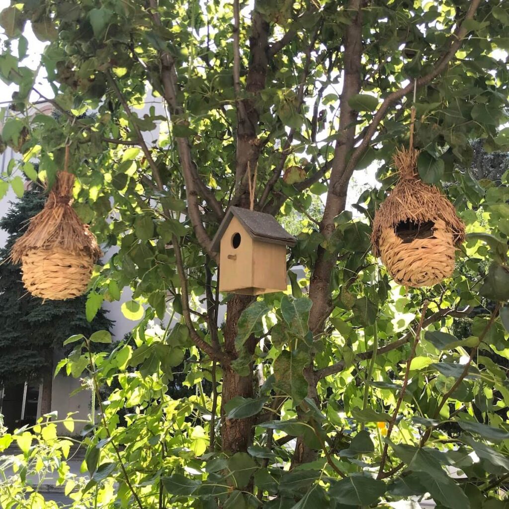 Montreal Bird house